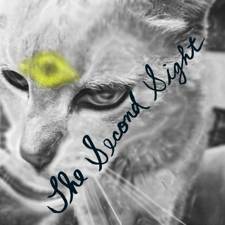 Episode Two &mdash; The Second Sight